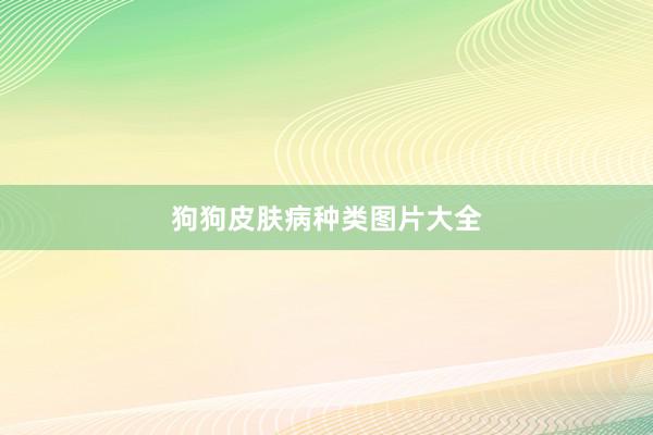 狗狗皮肤病种类图片大全