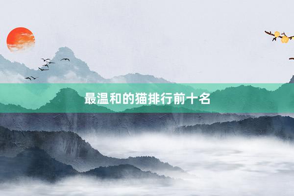 最温和的猫排行前十名