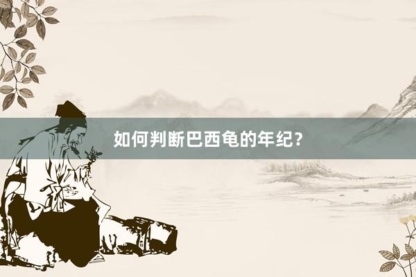 如何判断巴西龟的年纪？