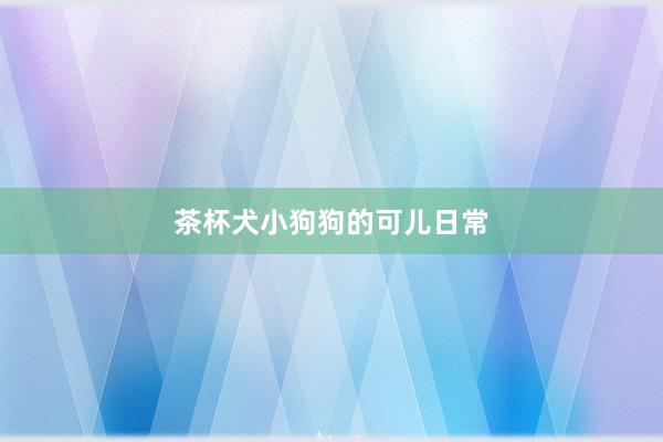 茶杯犬小狗狗的可儿日常