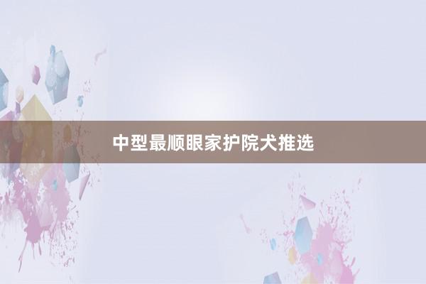 中型最顺眼家护院犬推选