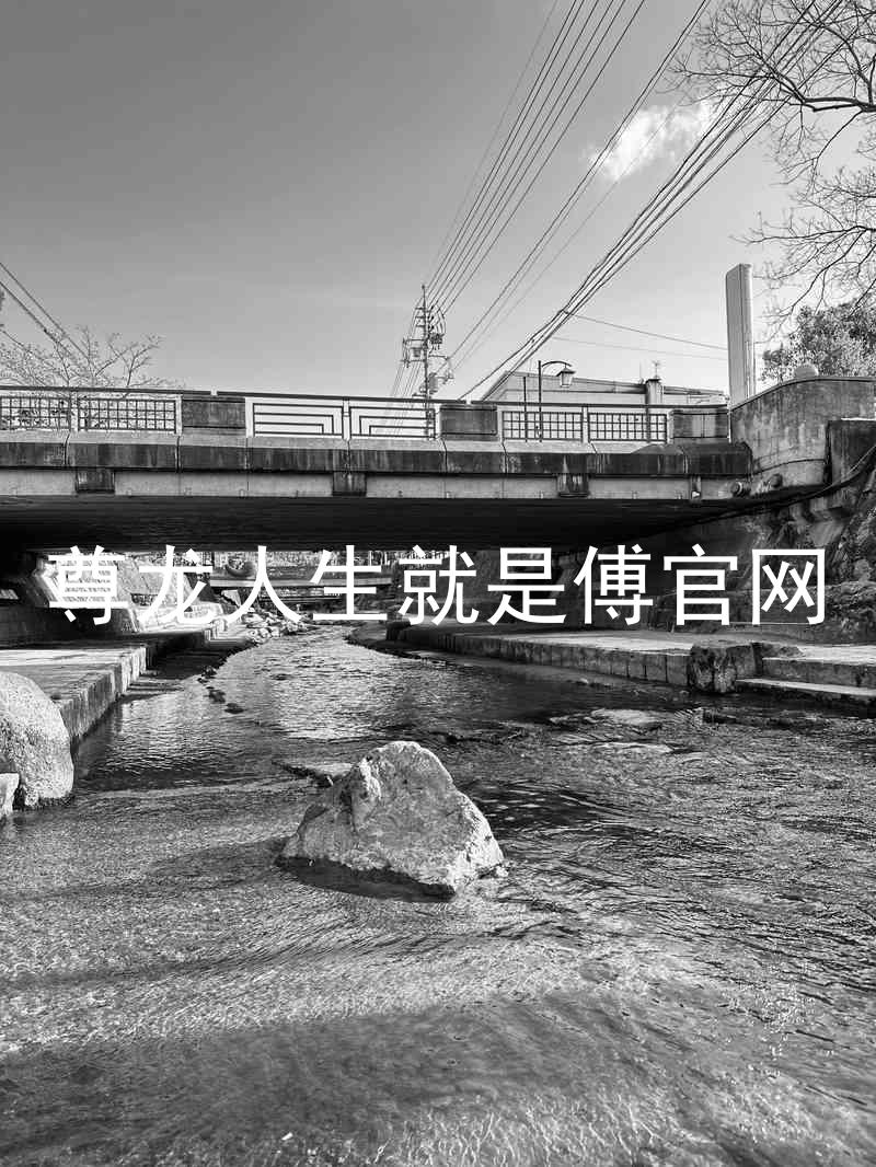 尊龙人生就是傅官网