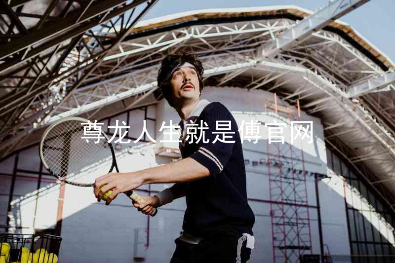 尊龙人生就是傅官网