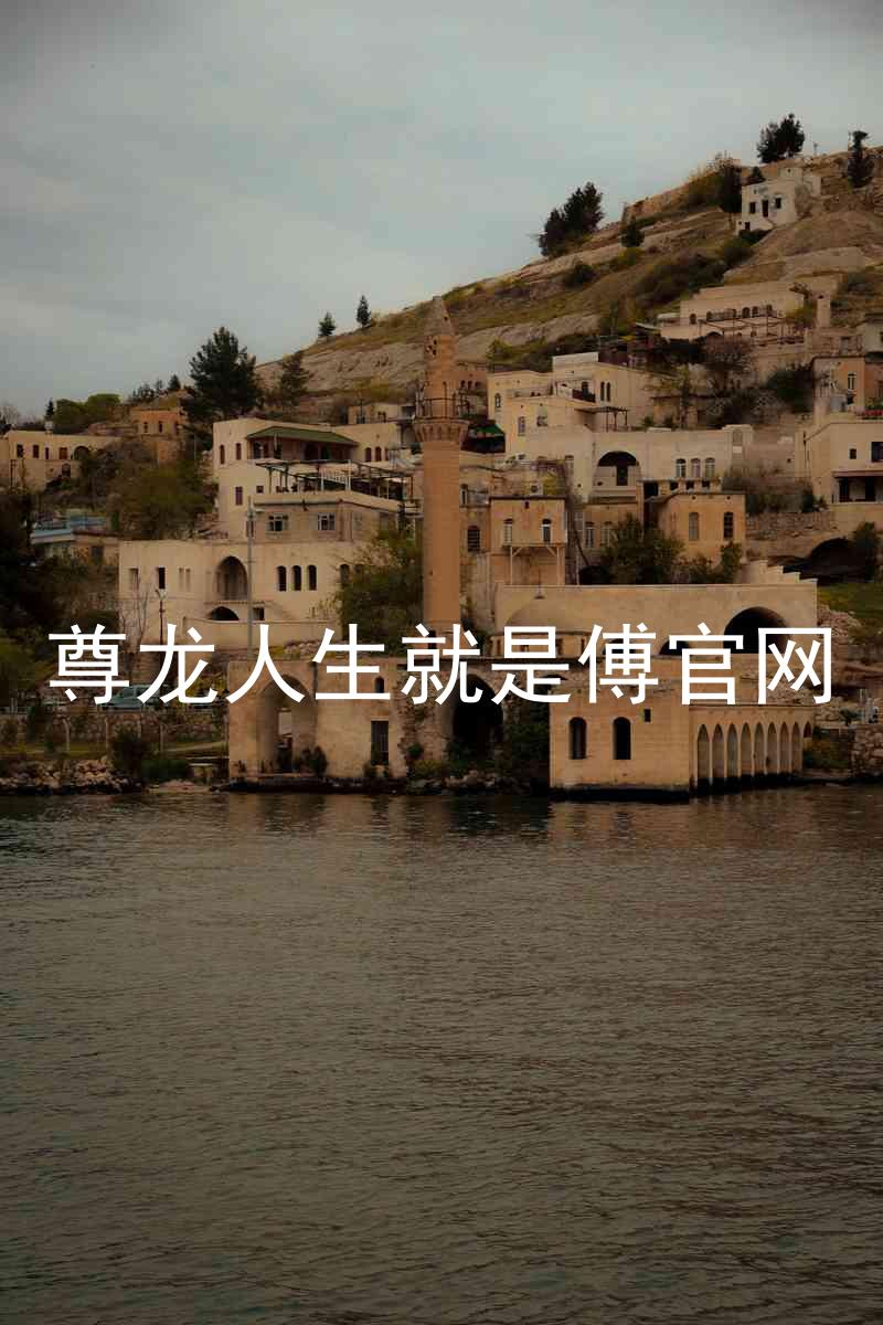 尊龙人生就是傅官网