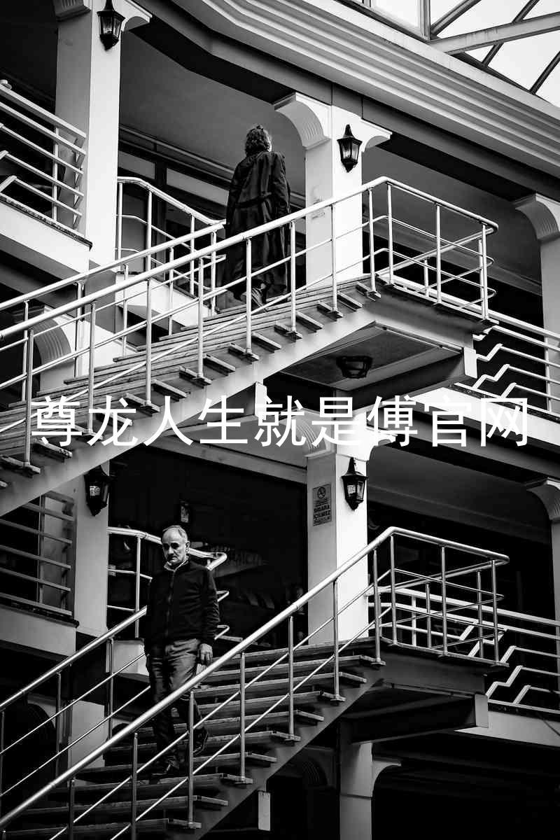 尊龙人生就是傅官网