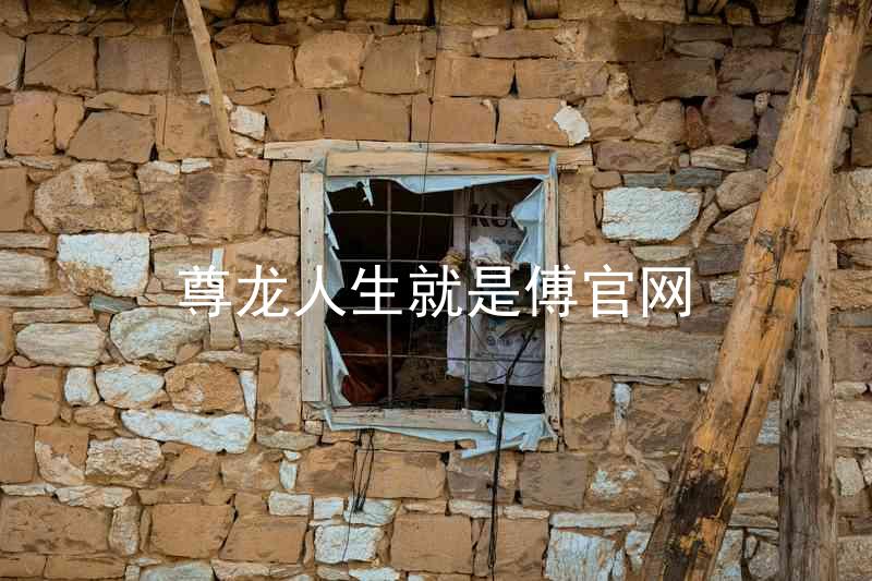 尊龙人生就是傅官网