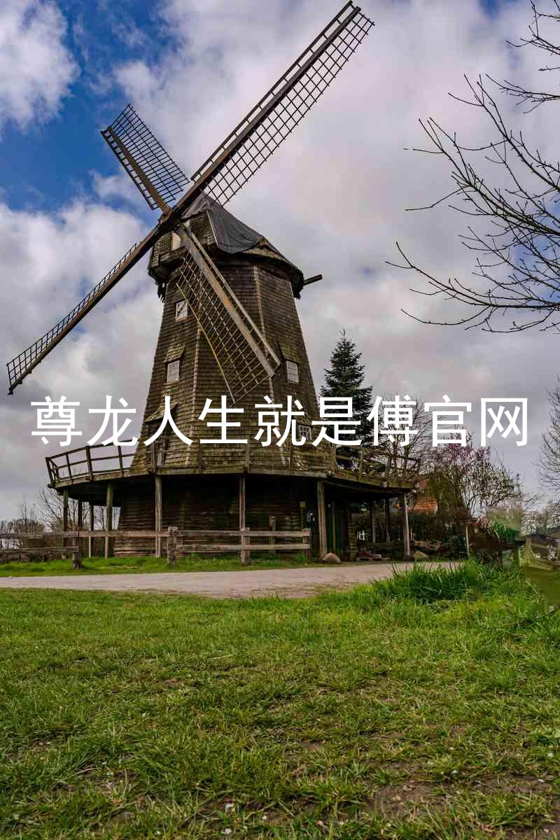 尊龙人生就是傅官网