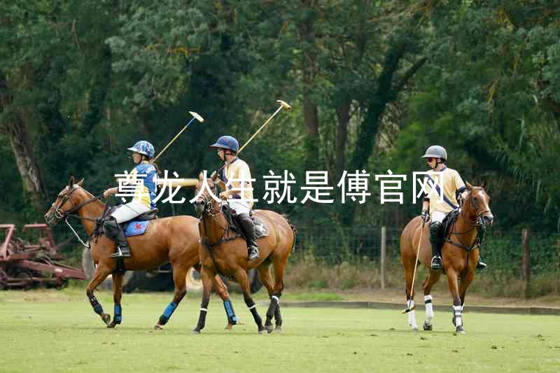 尊龙人生就是傅官网