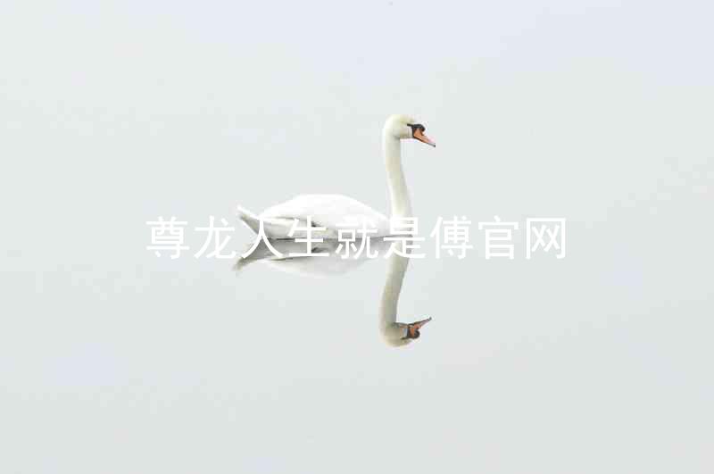 尊龙人生就是傅官网