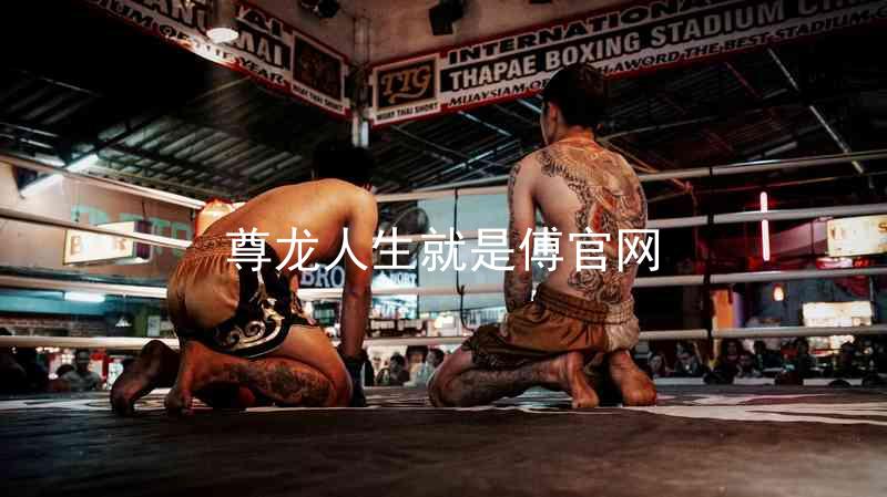 尊龙人生就是傅官网